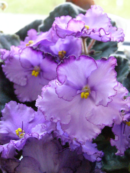 Любимая Дочка.JPG