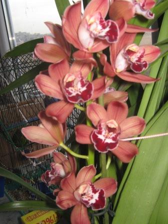 А такі ми зараз