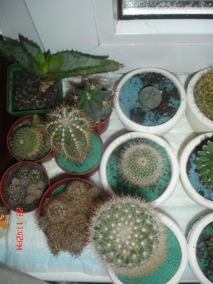 Изображение 013.jpg