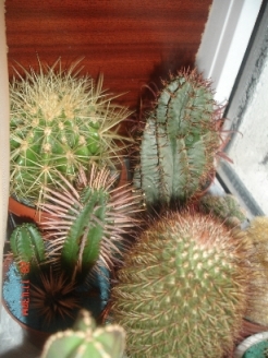 Изображение 014.jpg