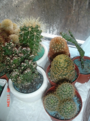 Изображение 015.jpg