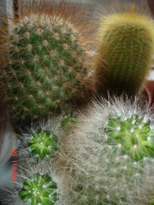 Изображение 001.jpg