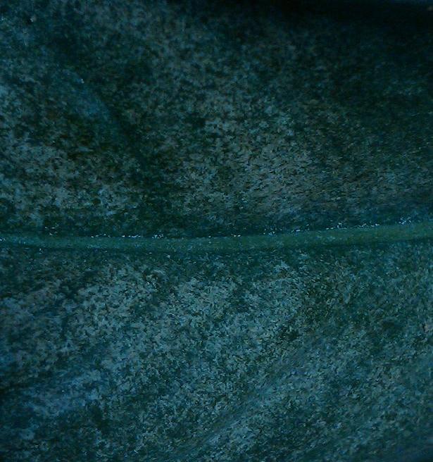 тот же нижняя пластина