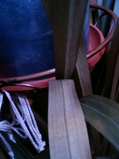 нижняя сторона  другого листа.. на ощупь стал сухой как бумага.. шуршит как-то так...