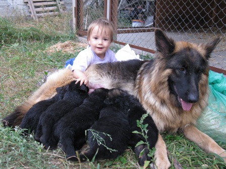1 месяц. Все только начинается...