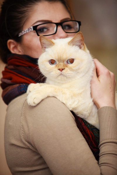 Моя Джусика