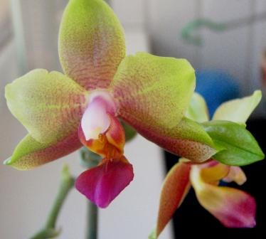 Изображение 228.jpg