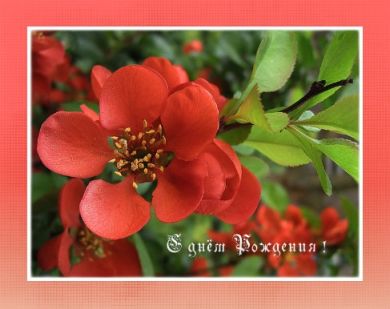 С ДНЁМ РОЖДЕНИЯ .jpg