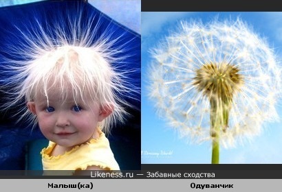 еще один одуван.jpg