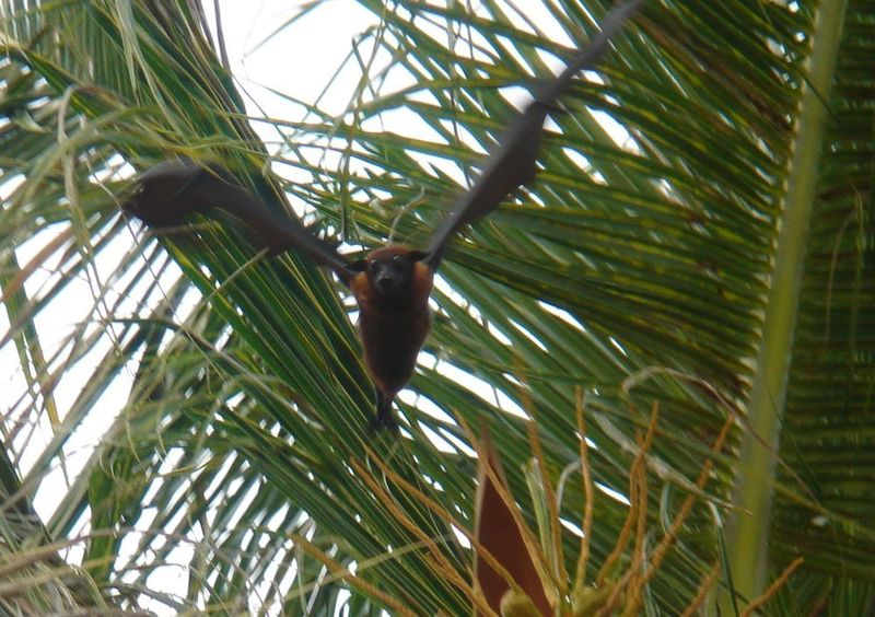 Изображение 432.jpg