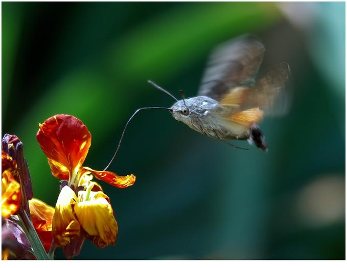 это фото из инета