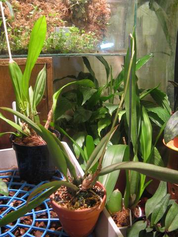 Resize of Rotation of IMG_1830.JPG