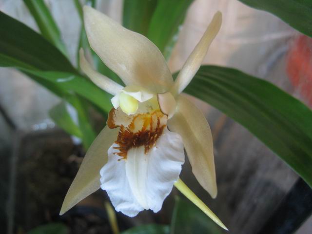 Resize of IMG_1854.JPG