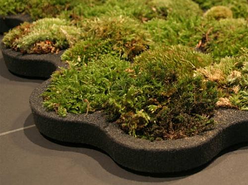 moss-carpet-02.jpg