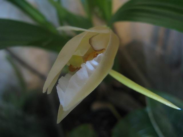 Resize of IMG_1849.JPG