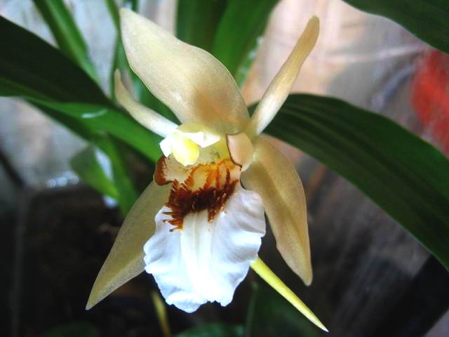 Resize of IMG_1854.JPG