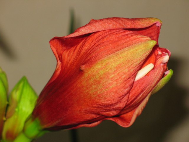 еще один на подходе