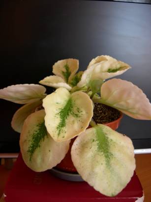 23 - Река Волга.jpg