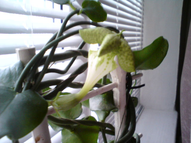 Фото вчера.