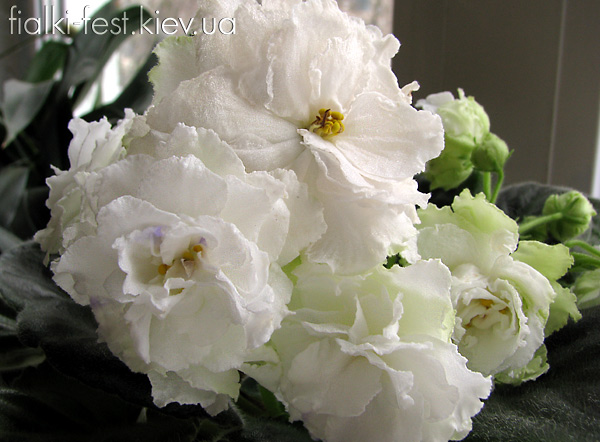 ЕК-Мартовский Снеговичок