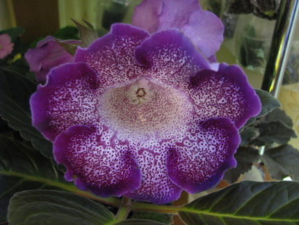 Peridot's Darth Vader