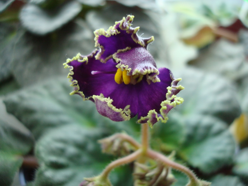 DSC03091_новый размер.JPG