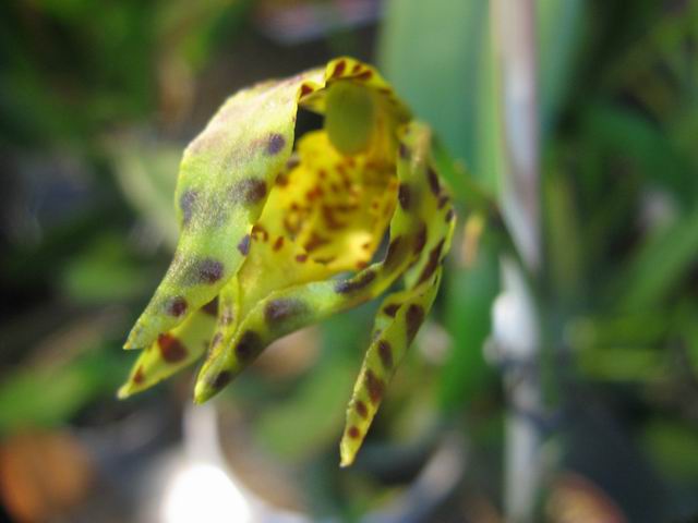 Resize of IMG_2028.JPG