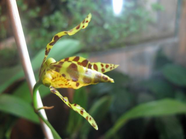 Resize of IMG_2033.JPG