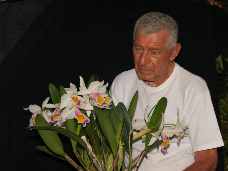 LR-WZ e C-eldorado-semi alba-rosada-Gold-003.jpg