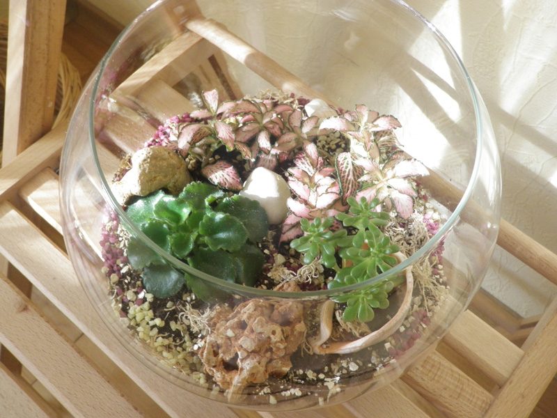 бутылочный сад.jpg