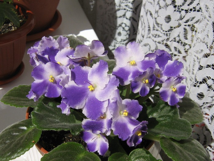 А теперь так