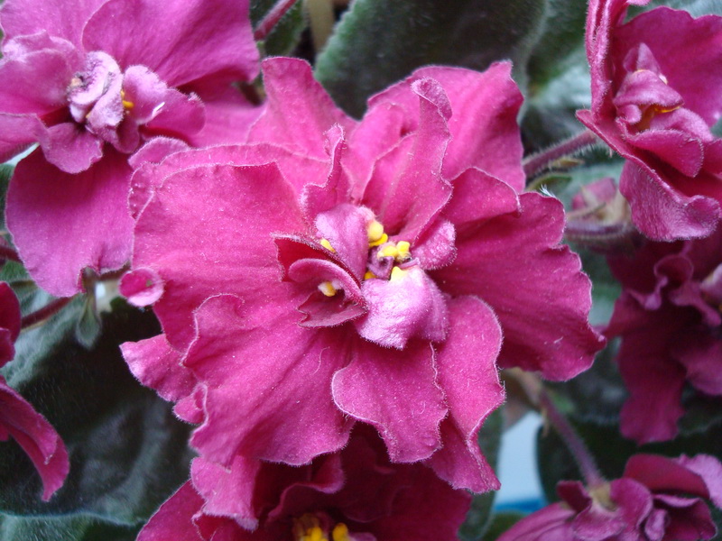 DSC03202_новый размер.JPG