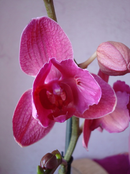 DSC03207_новый размер.JPG