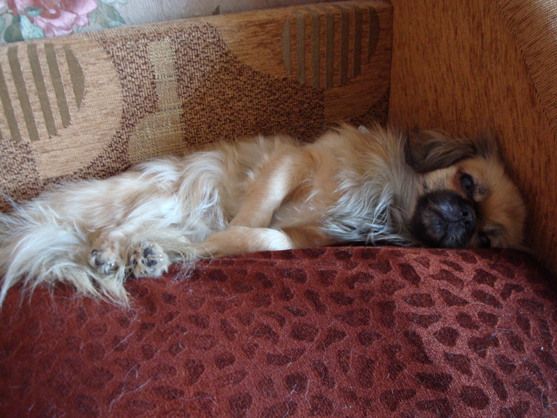 DSC03236_новый размер.JPG