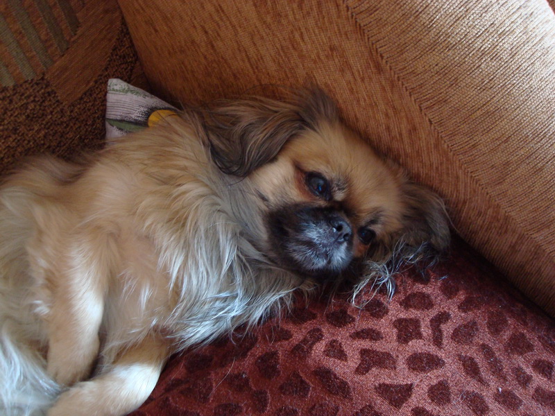 DSC03238_новый размер.JPG