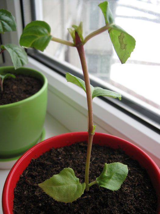 А это мамка сегодня