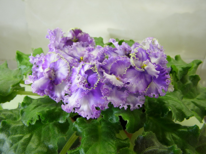 Favorite Child_sport.jpg