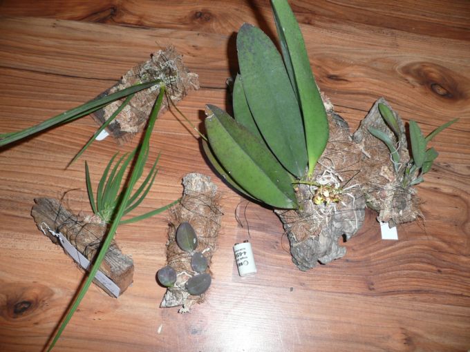 мексика 1.jpg