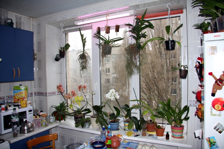 кухня старый вариант.jpg