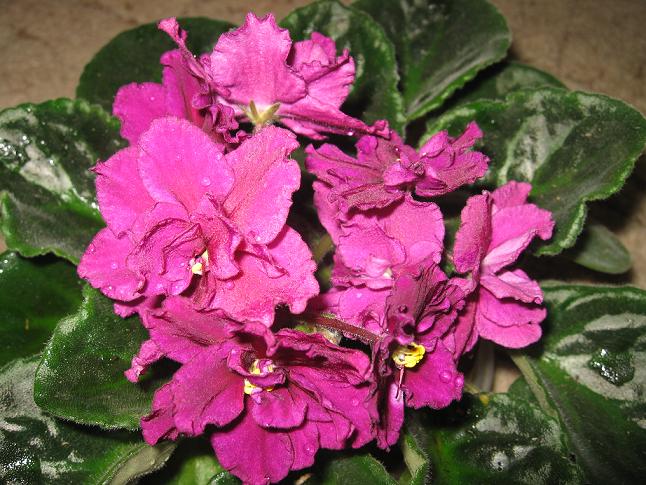 Невідома особа