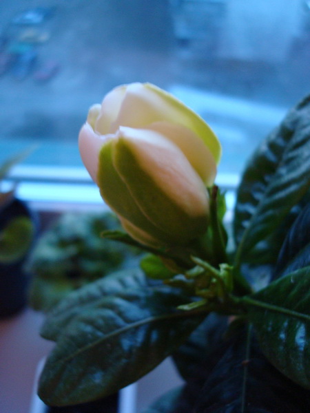 DSC03282_новый размер.JPG