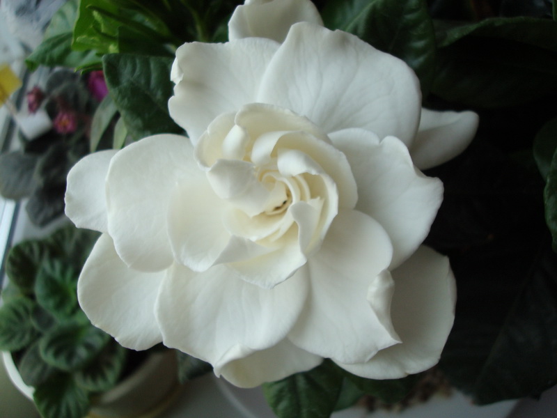 DSC03285_новый размер.JPG