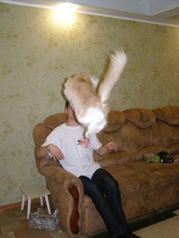 периодически летает))))