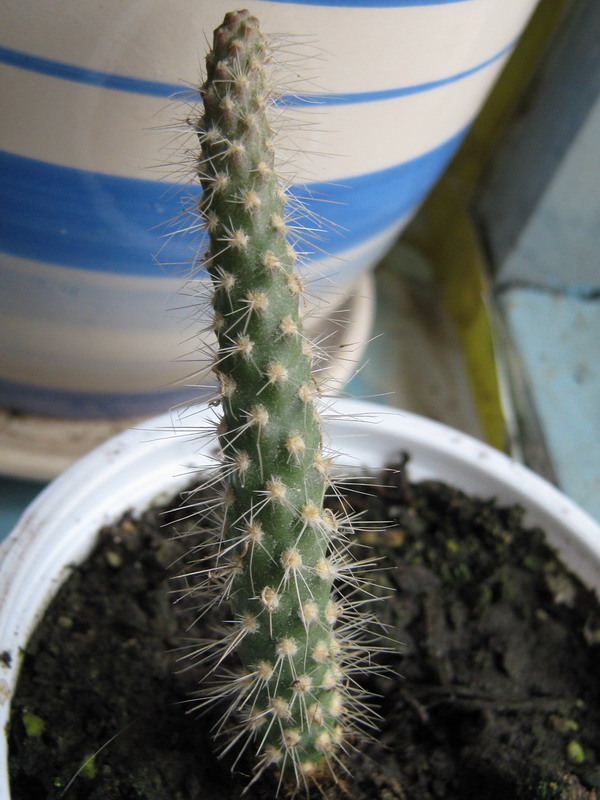 2 Неизвестный 800х600.jpg