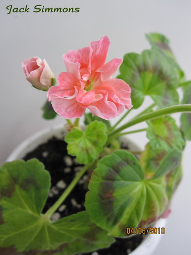 Jack Simmons_Апрель_2010_1.jpg