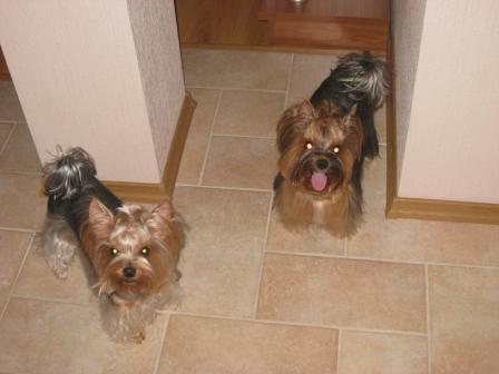 а это мои самые любимые цветочки(Яся и Мотя).jpg