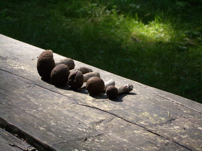 Муж назвал фото - актом вандализма... Вырезала всю семью.