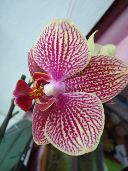 DSC03462_новый размер.JPG