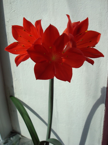 DSC03245_новый размер.JPG