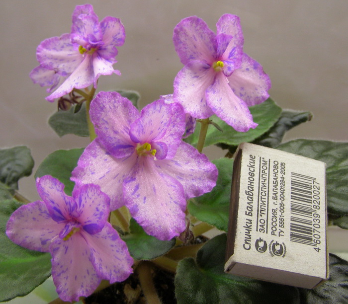 хороший размерчик!